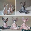 Estatuetas Gato Buda Caprichoso - Imagem 6